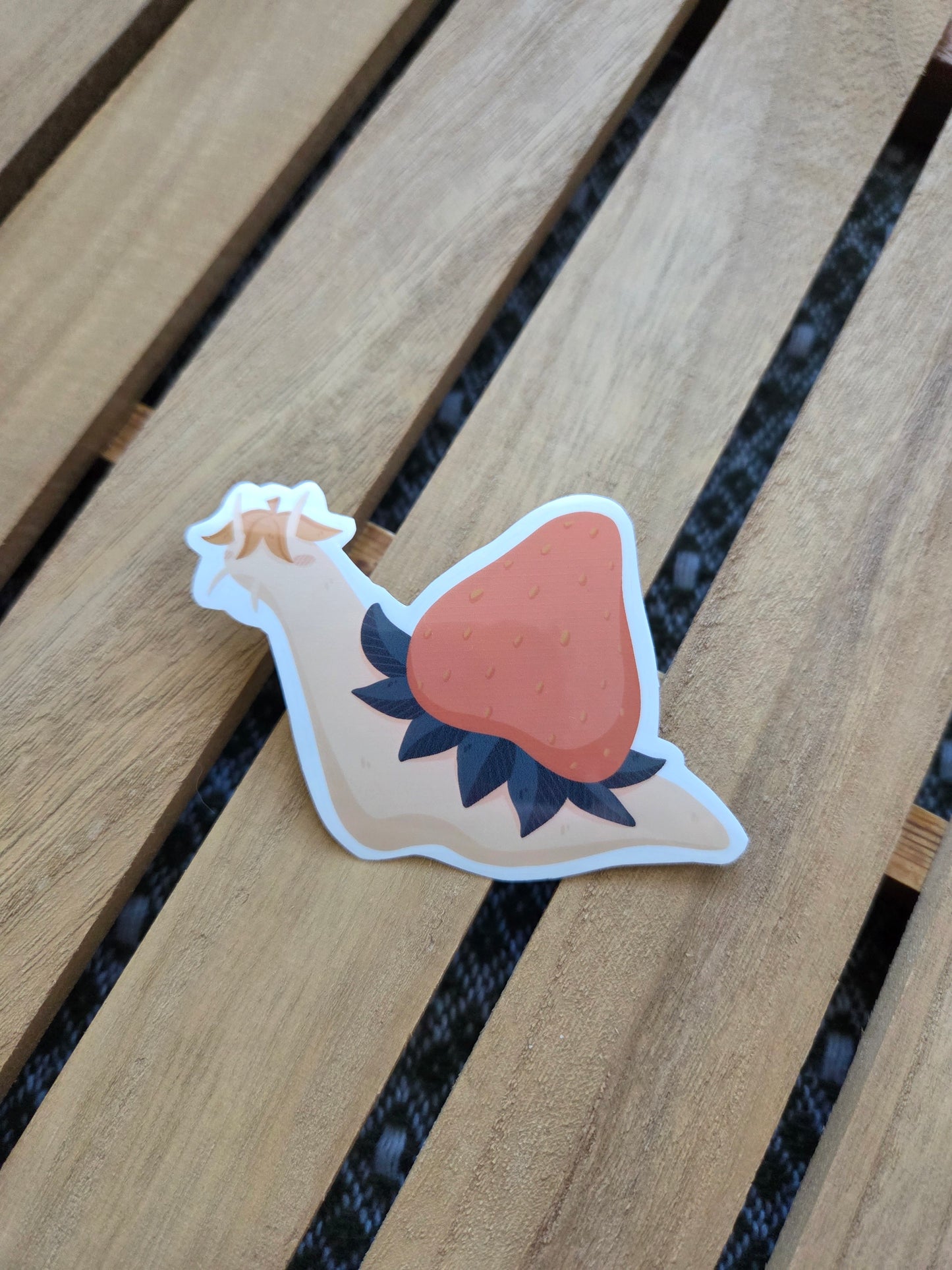☆ Strawberry Snail Sticker